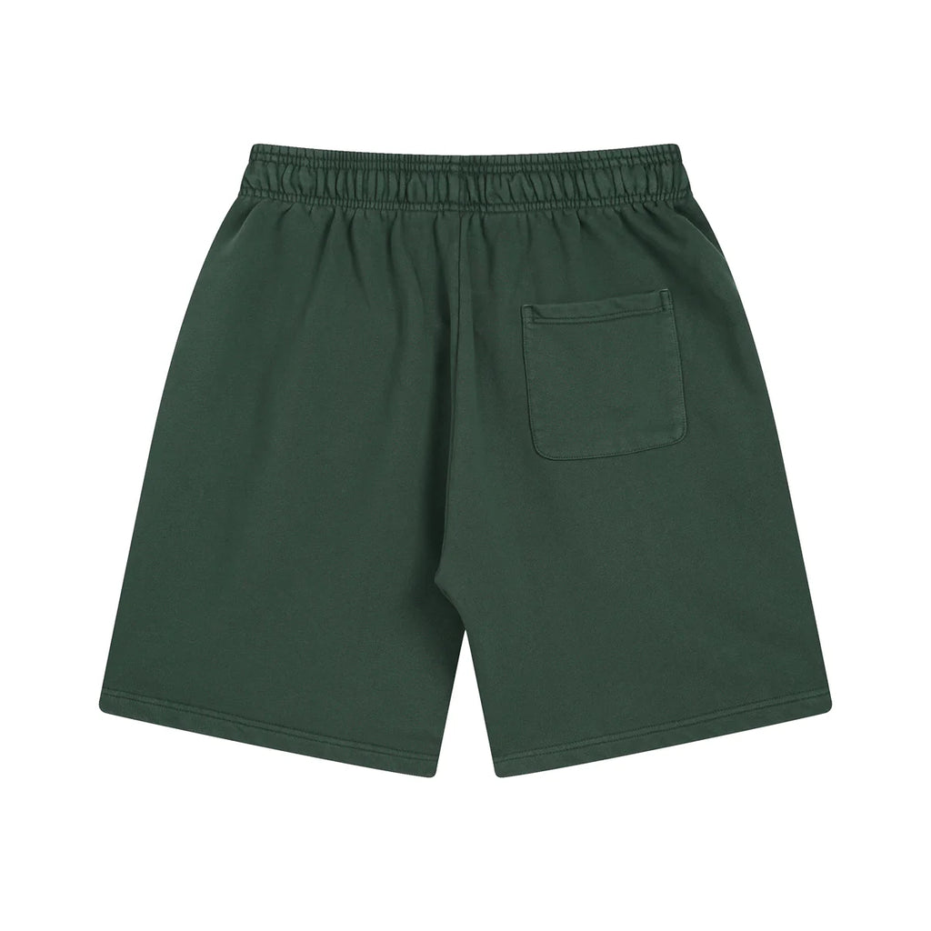 AVELURE EVERYDAY SHORTS