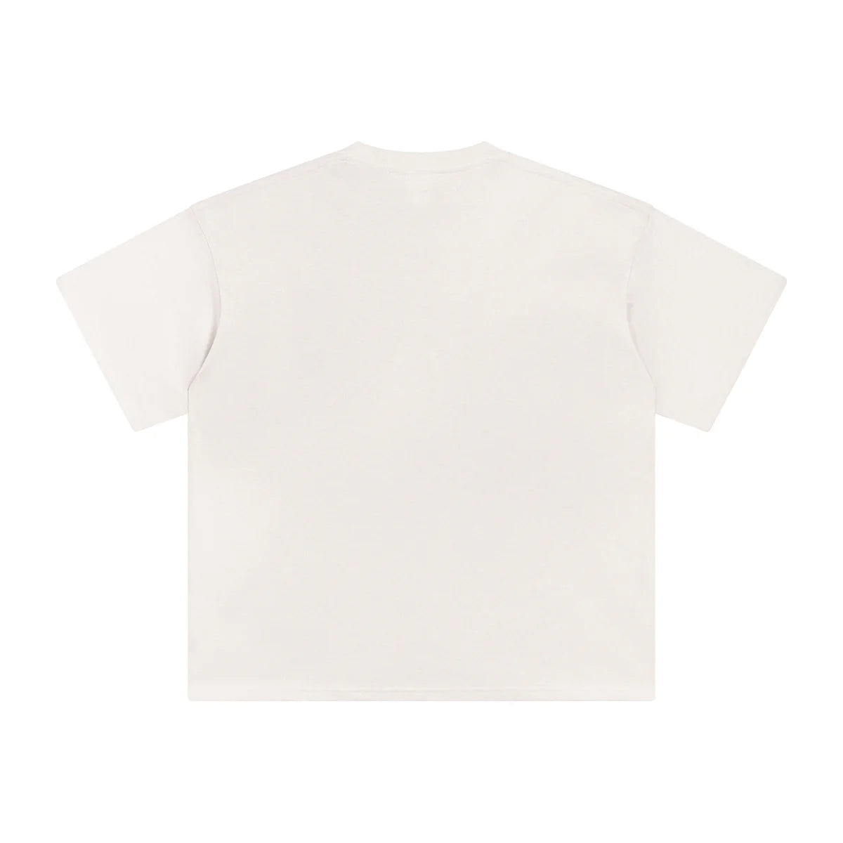 AVELURE EVERYDAY BOXY TEE